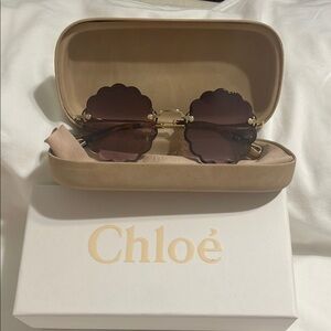 Chloe Women's Brown/blackberry color Sunglasses
